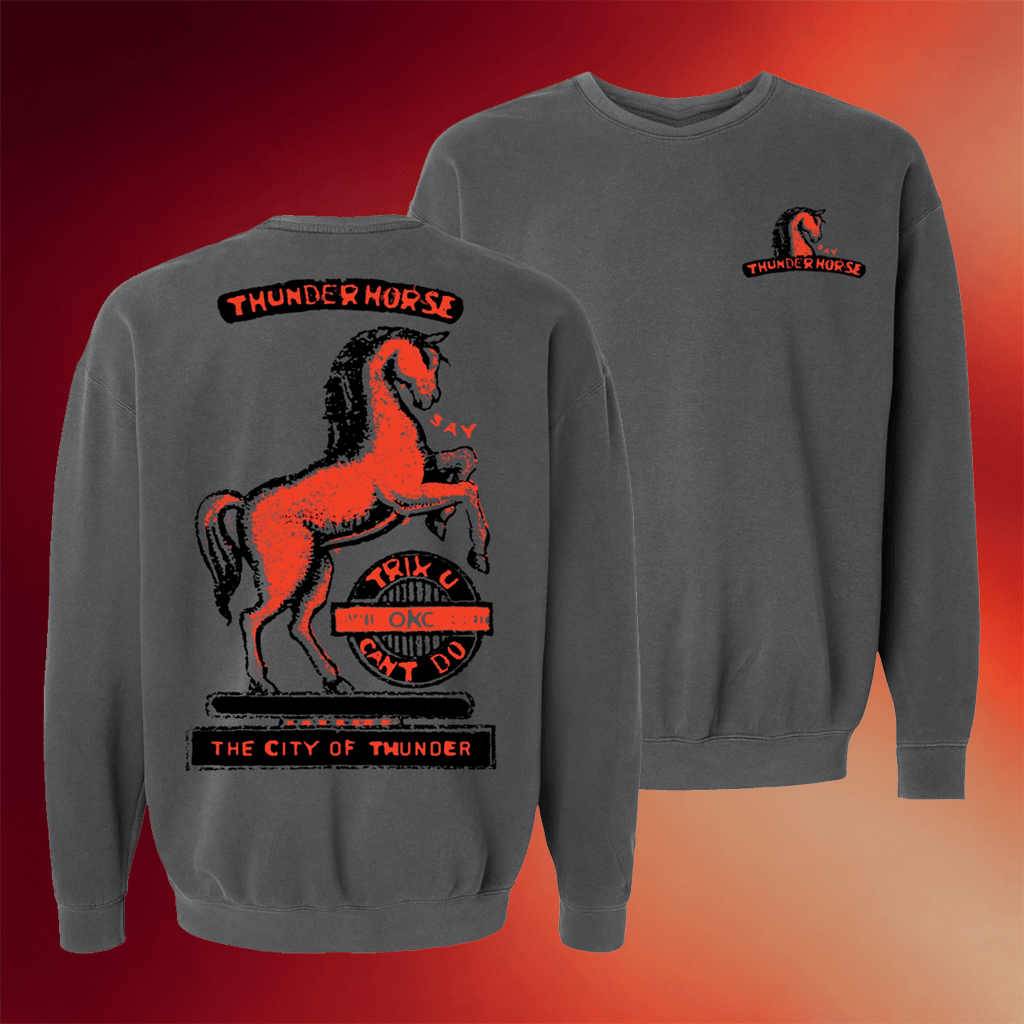 Planet Dorshak Merch 2026 Thunder Horse Sweatshirt Bombs Away Art Crewneck Gifts For Husband - Merchluma