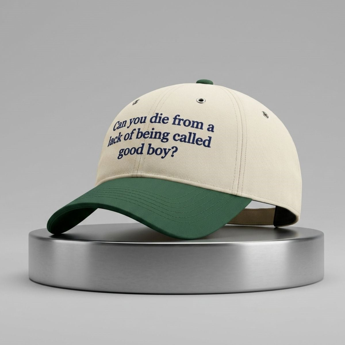Can You Die From Lack Of Being Called Good Boy Hat Embroidered Funny Sarcastic Quote Cap Gifts - Merchluma