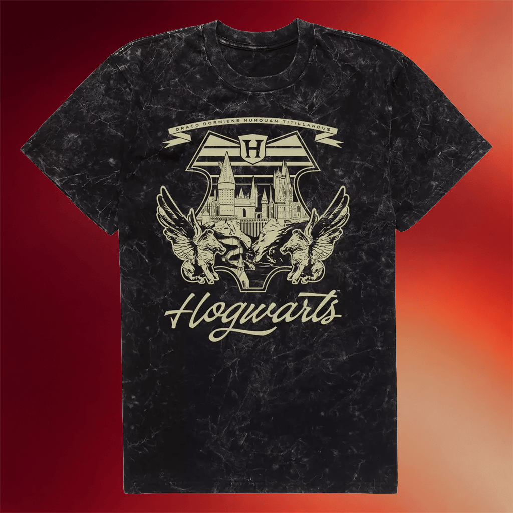 Harry Potter Merch Harry Potter Hogwarts T-Shirt Gift Ideas For Son - Merchluma
