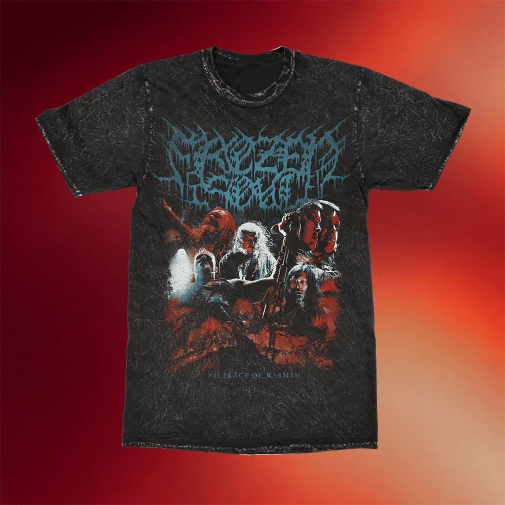 Frozen Soul Merch 2026 No Place Of Warmth Collage T-Shirt Gifts Ideas For Brothers - Merchluma