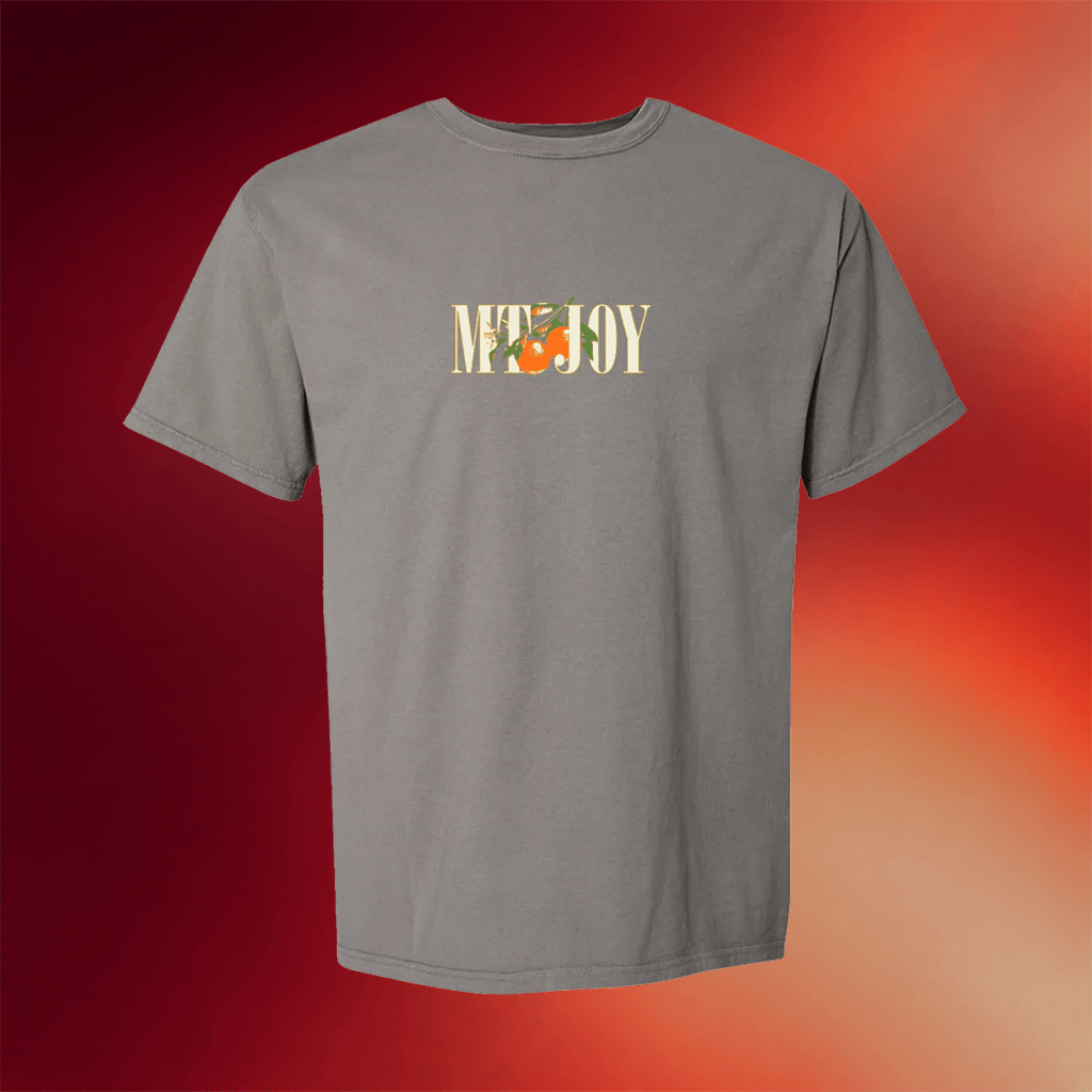 Mt Joy Merch 2026 Mt Joy Orange T-Shirt Best Gifts For Rock Band Fans - Merchluma