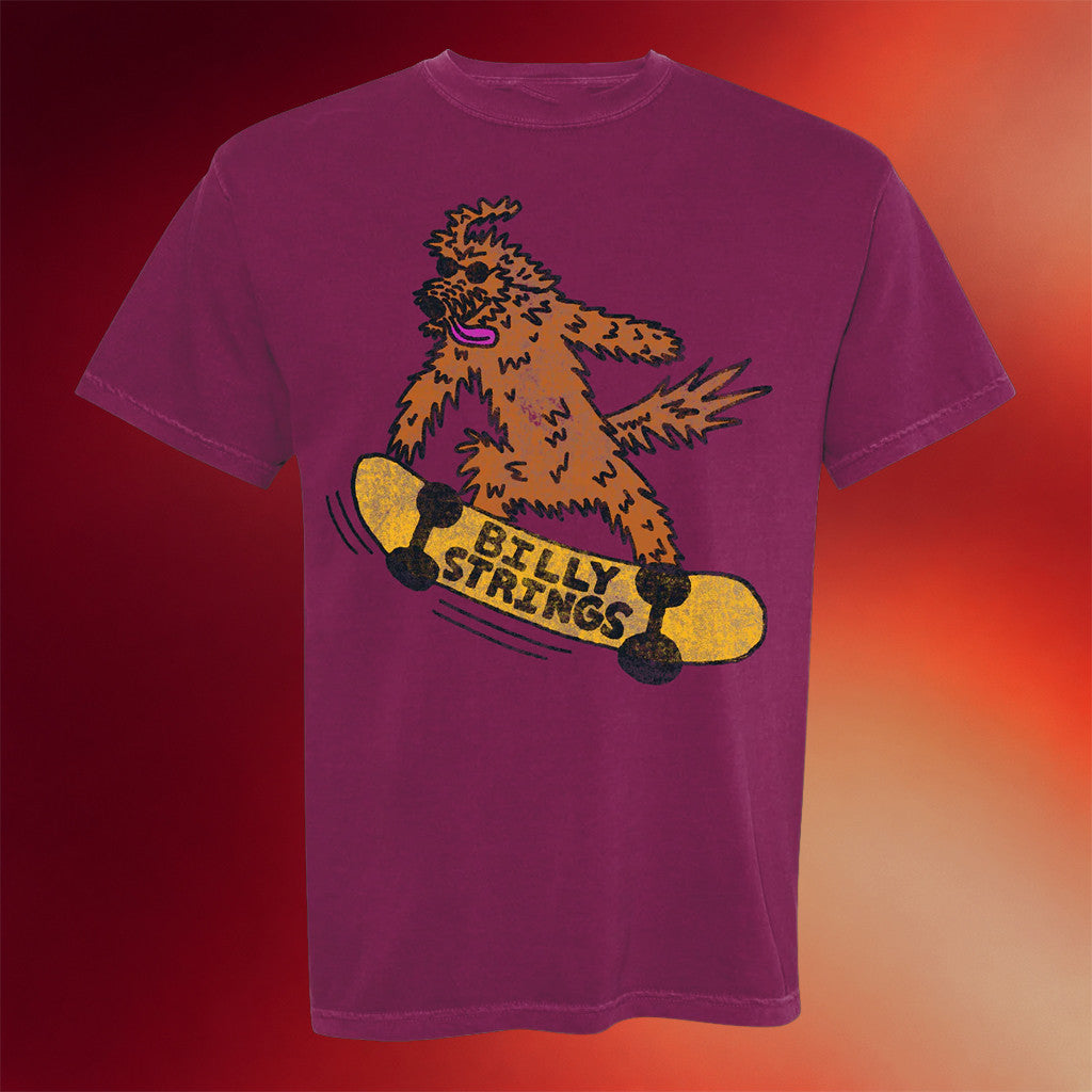 Billy Strings Merch Skateboarder T-Shirt Billy Strings Winter 2026 T-Shirt Gifts For Brother - Merchluma