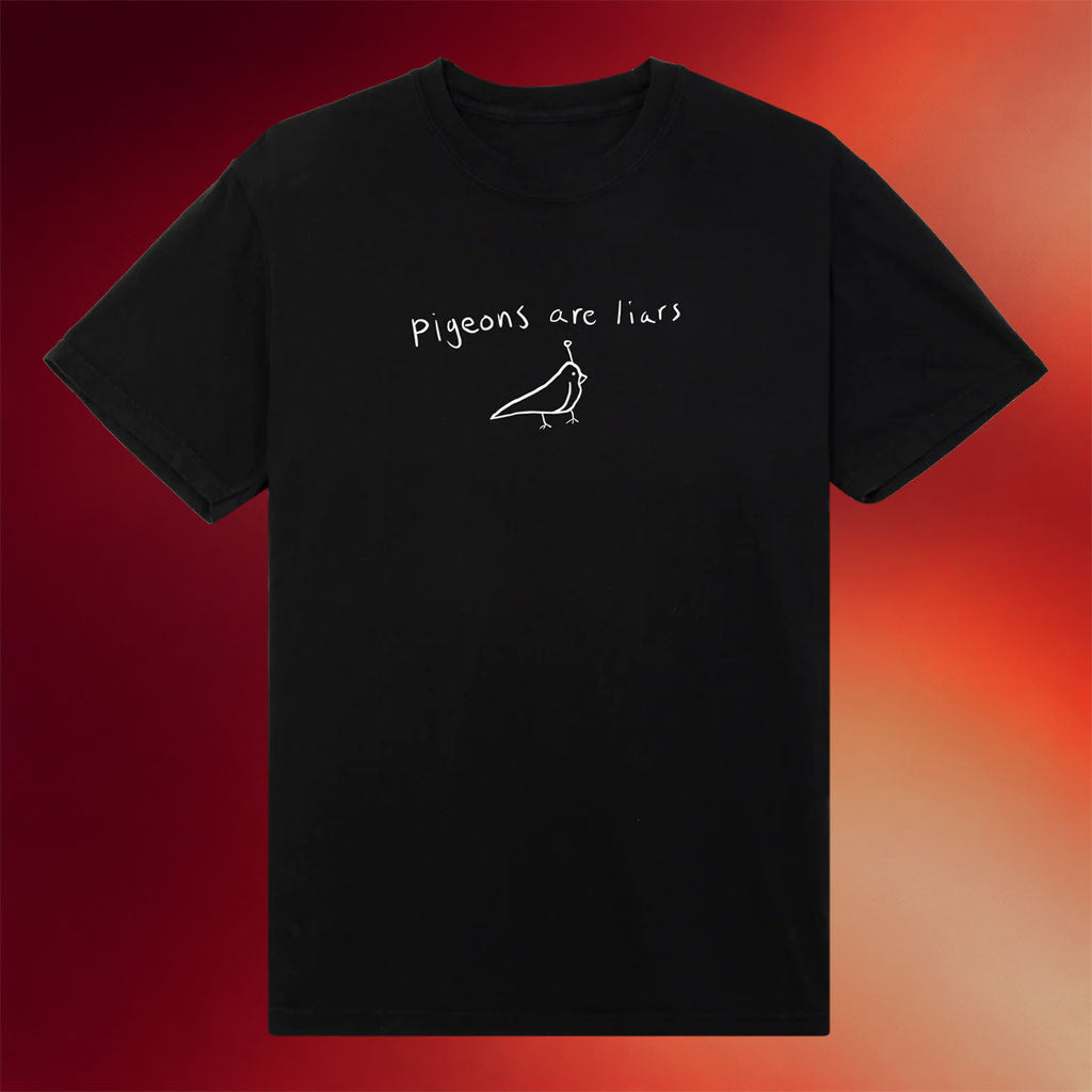 Birds Aren't Real Merch 2026 Pigeons Are Liars T-Shirt Black Unique Gift For Husband - Merchluma