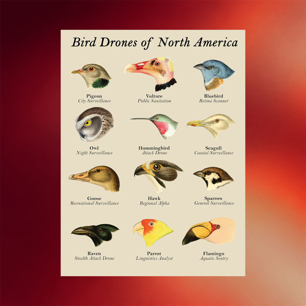 Birds Aren't Real Merch 2026 Bird Drones Of North America Poster Wall Art Decor Gift For Friend - Merchluma