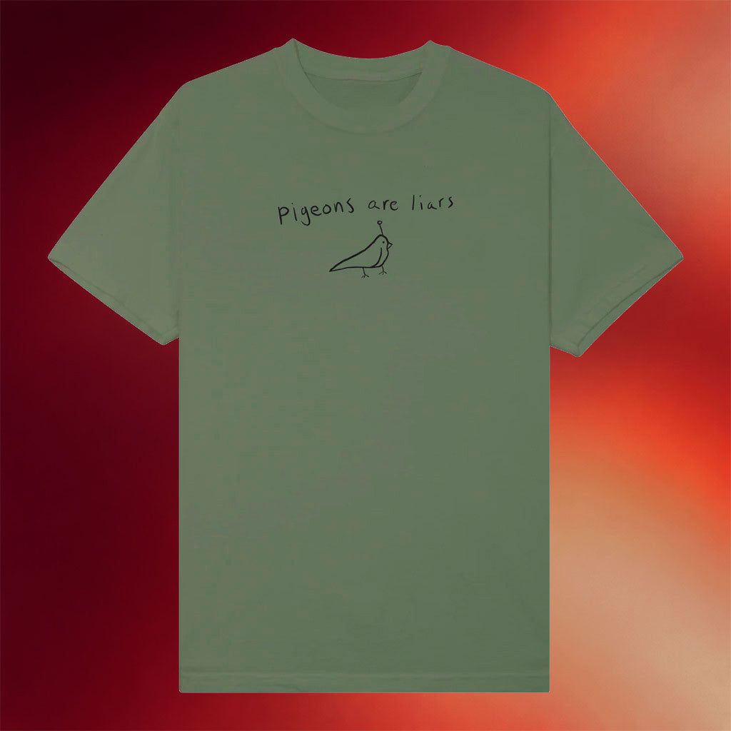 Birds Aren't Real Merch 2026 Pigeons Are Liars T-Shirt Birthday Gift Ideas For Husband - Merchluma