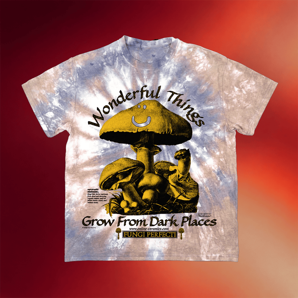 Online Ceramics Merch Saprotrophic Mushrooms Tie Dye T-Shirt Birthday Gift For Girlfriend - Merchluma