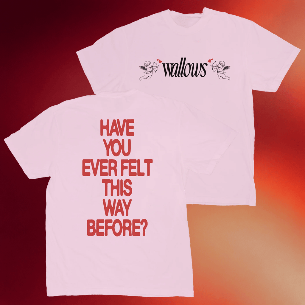 Wallows Merch Angel Wallows Shirt Have You Ever Felt This Way Before T-Shirt Rock Lovers Gifts - Merchluma