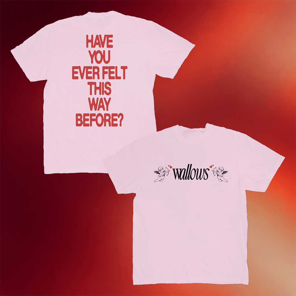 Wallows Merch Wallows Angel T-Shirt Have You Ever Felt This Way Before Shirt Gifts For Fans - Merchluma