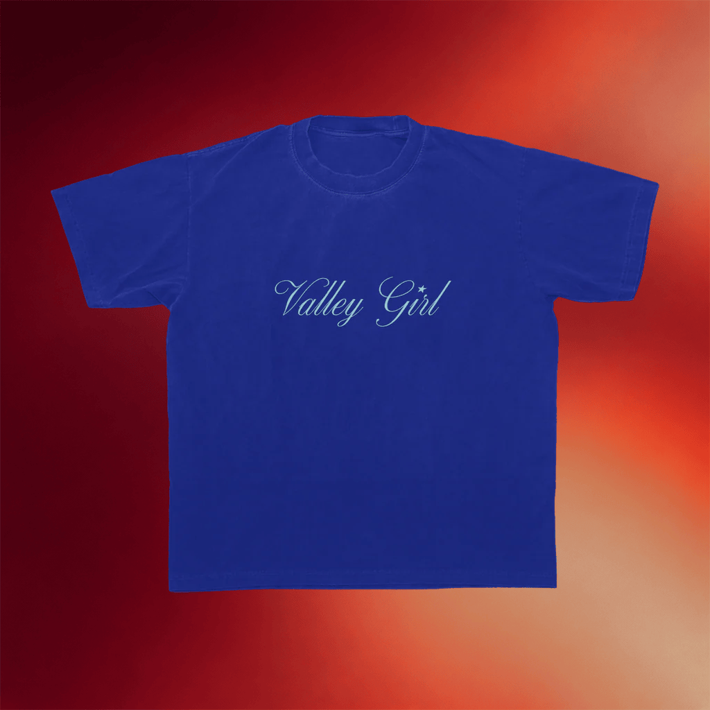 What We Said Merch 2026 Valley Girl Tour T-Shirt Presents For Podcast Lovers - Merchluma