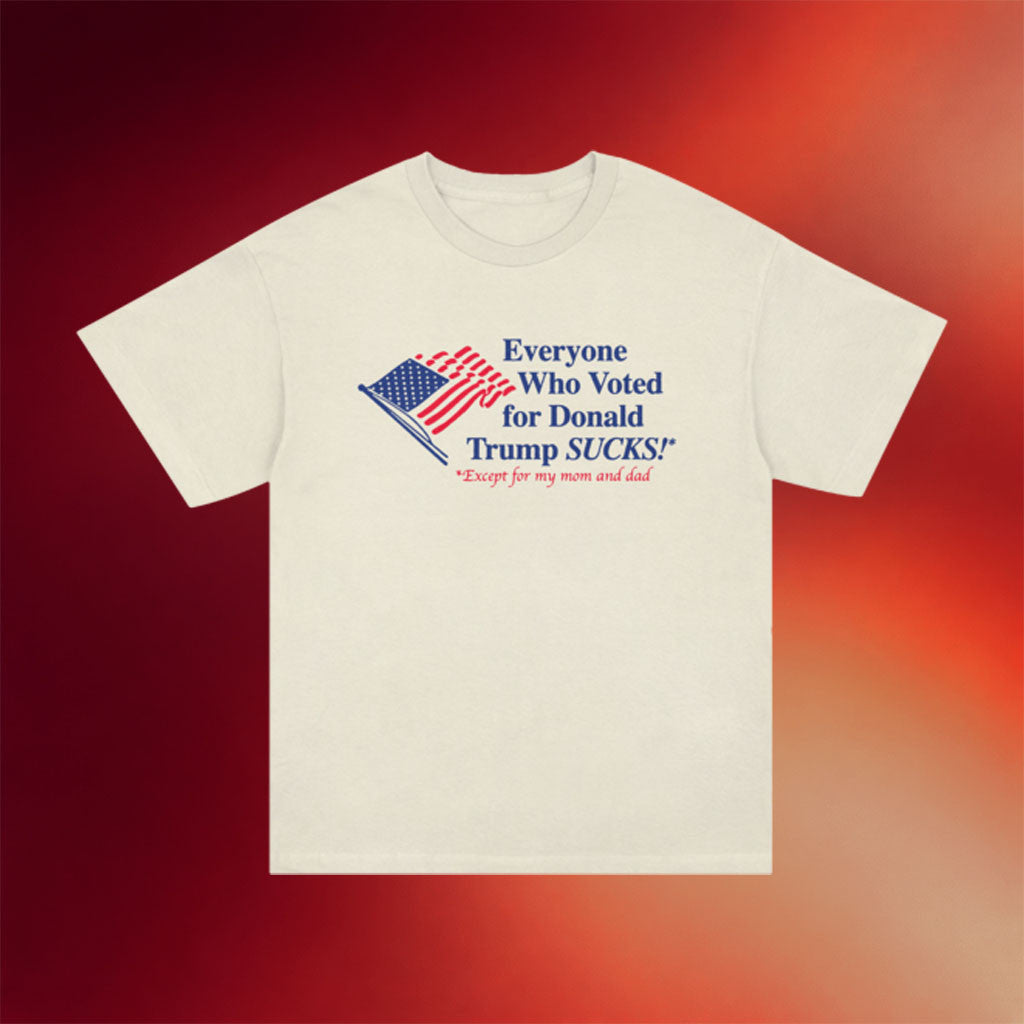 Emily Wilson Merch 2026 Everyone Who Voted T-Shirt Political Humor Gifts For Friends - Merchluma