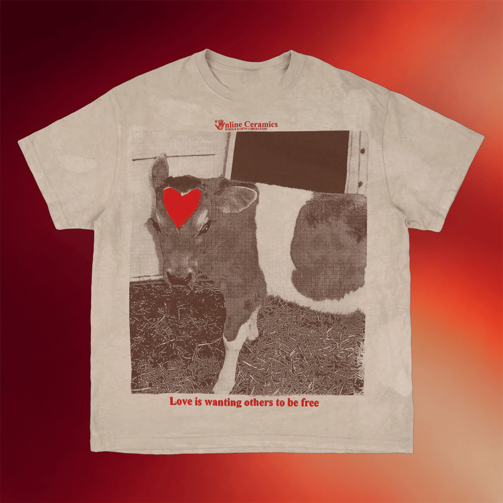 Online Ceramics Merch 2026 Wanting Others To Be Free T-Shirt Best Gifts For Boyfriend - Merchluma