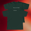 Seek Discomfort Merch 2026 What Are You Avoiding T-Shirt Birthday Present For Brother - Merchluma