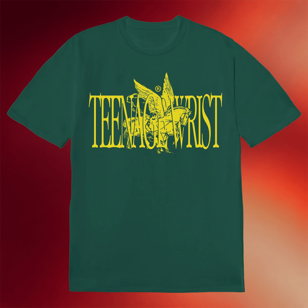 Teenage Wrist Merch Flying Horse T-Shirt Teenage Wrist Shirt Best Gifts For Rock Lovers - Merchluma