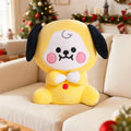 BT21 BTS Cartoon Animal Pillow BT21 Character Merch Fans Gift Ideas - Merchluma