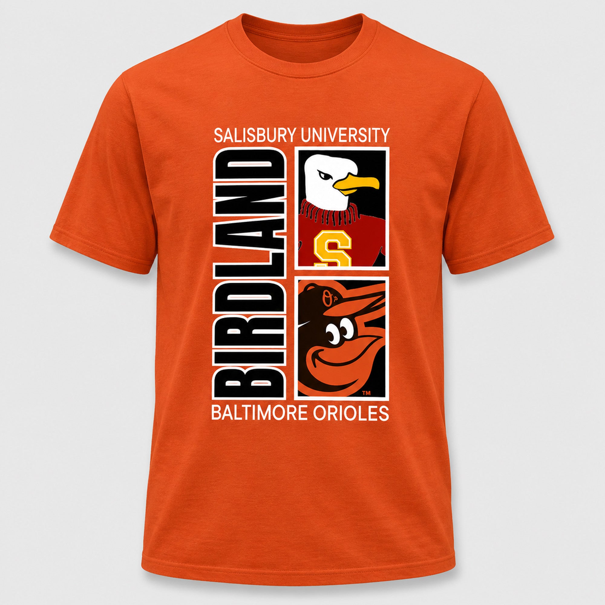 2026 Orioles Salisbury University Night T-Shirt Baltimore Orioles Merch Gifts For Father In Law - Merchluma
