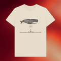 Sea Shepherd Merch 2026 Andrea Collesano T-Shirt Gifts Ideas For Sisters - Merchluma