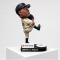 Marlins Dontrelle Willis Hall Of Fame Funko Pop 2026 Miami Marlins Merch Gifts For Fan - Merchluma
