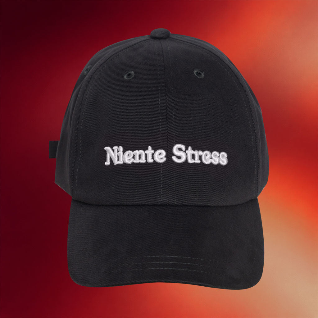 Public Possession Merch 2026 Niente Stress Hat Embroidered Present For Brothers - Merchluma