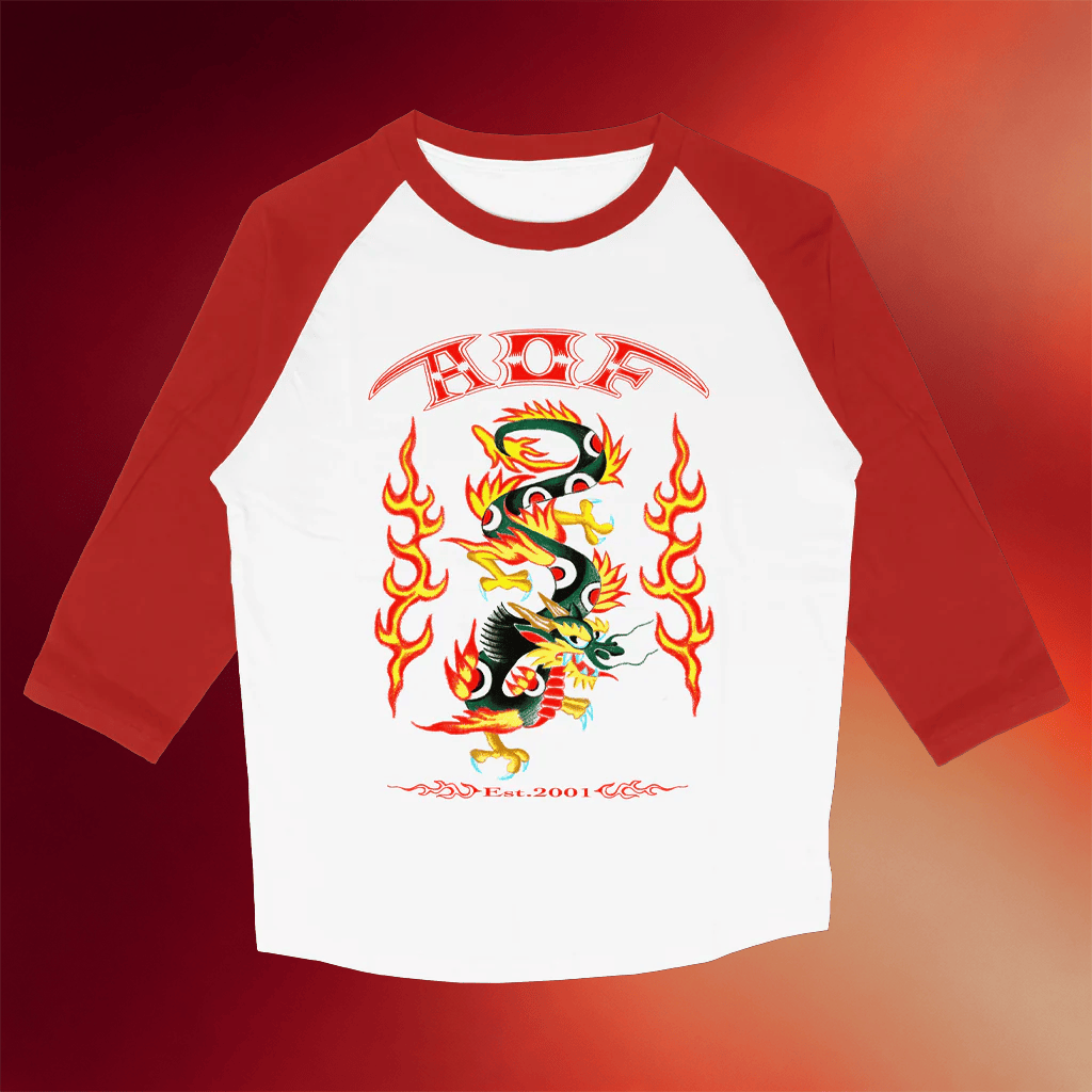 Alexisonfire Merch Dragon Raglan T-Shirt Alexisonfire Shirt Music Related Gifts For Guys - Merchluma