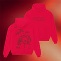 Noah Kahan Merch 2026 The Last Of The Bugs Hoodie Ladybug NK The Great Divide Tour Merch - Merchluma