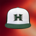 Fitted Hawaii March 2026 UH Hat Embroidered Fitted Hawaii Cap Gifts Ideas For Friends - Merchluma