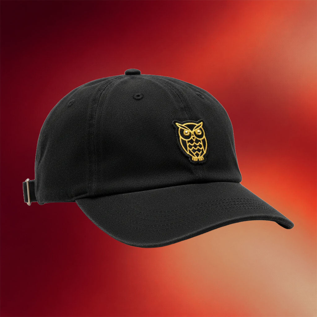 Drake Merch 2026 OVO Hat Embroidered Owl Logo Cap Present For Rapper Fans - Merchluma