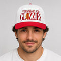 2026 Fredericksburg Nationals﻿ Virginia Is For Glizzies Hat Embroidered Nationals﻿ Merch Gifts - Merchluma