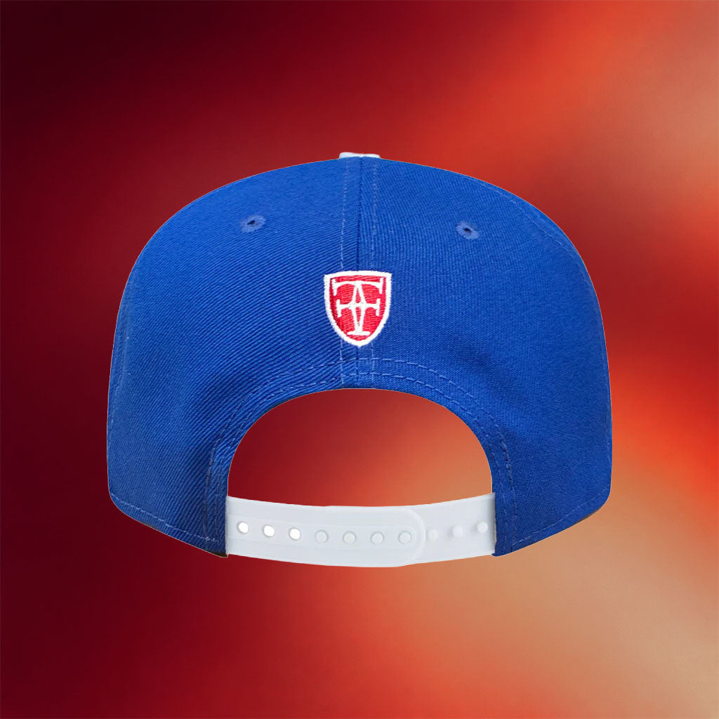 Fitted Hawaii Merch 2026 Aloha Snapback Hat Embroidered Best Gifts for Brothers - Merchluma