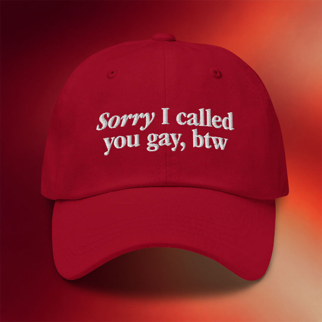 Tucker Carlson Merch 2026 Sorry I Called You Gay Embroidered Hat Red Present For Brothers - Merchluma