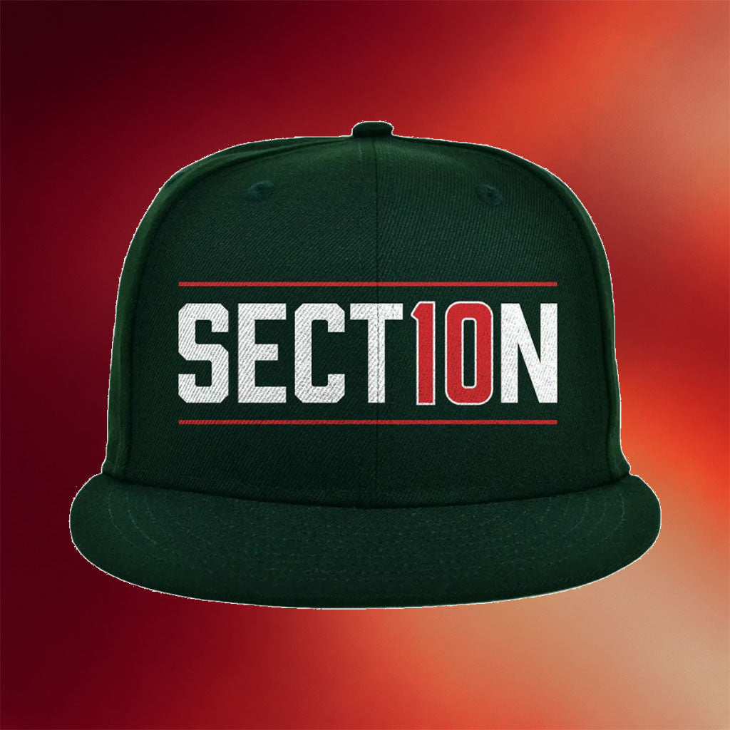 Section 10 Merch Section 10 Snapback Hat Good Gifts For Son In Law - Merchluma
