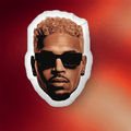 Chris Brown Merch 2026 Brown Big Head Custom Shaped Pillow Presents For Music Lovers - Merchluma