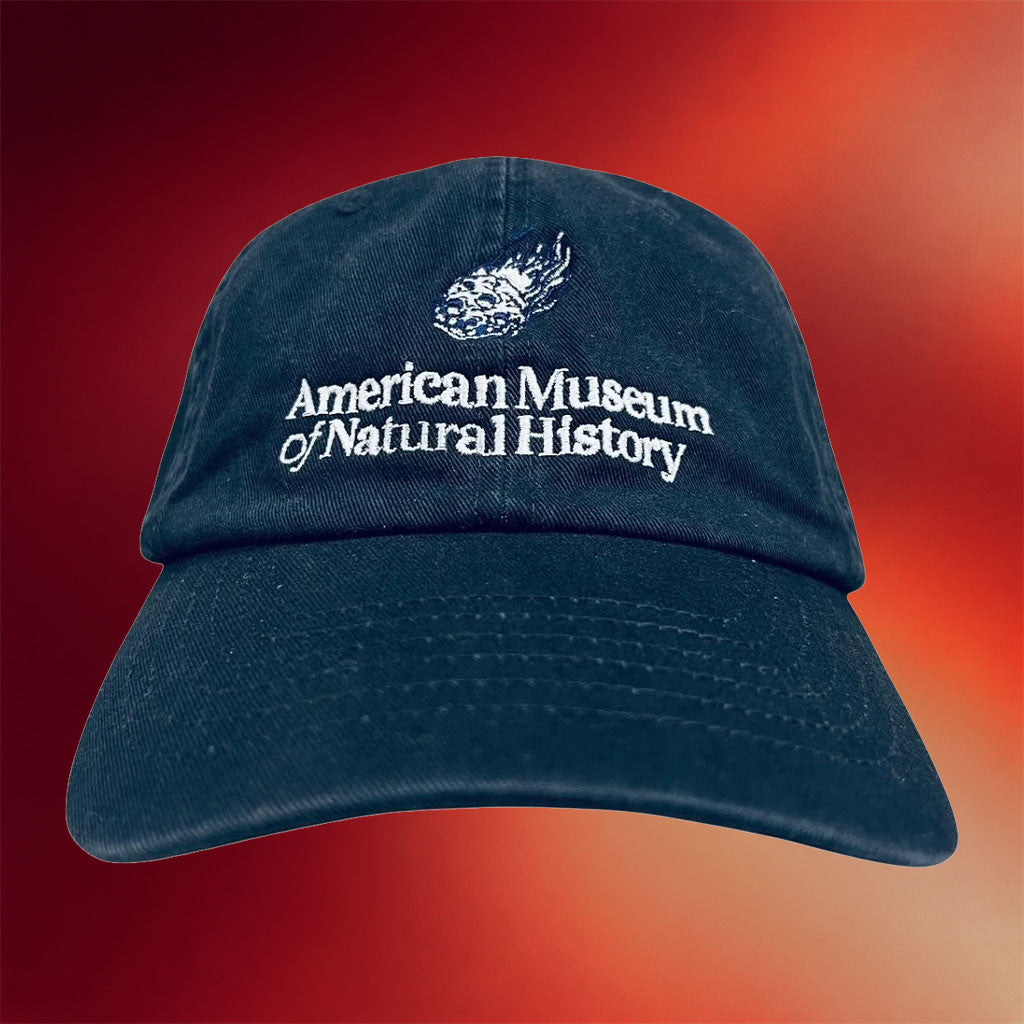 American Museum Of Natural History Merch 2026 Asteroid Hat Embroidered Gifts For Dad - Merchluma