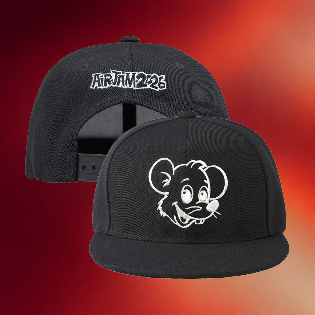 Air Jam Merch 2026 Punkyy Snapback Hat Embroidered Gift Ideas For Music Lovers - Merchluma