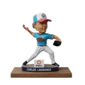 Somerset Patriots Carlos Lagrange Jersey Diners 2026 Funko Pop Somerset Patriots Merch Fan Gifts - Merchluma
