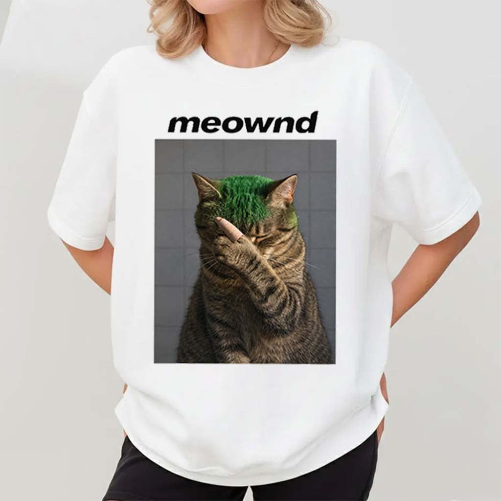 Frank Purrcean Meownd Cat Shirt Funny Music T-Shirt Gifts For Friends - Merchluma