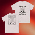 Fucktoys Merch 2026 Wanted For Assault Of A Celebrity Shirt Gift Ideas For Him - Merchluma