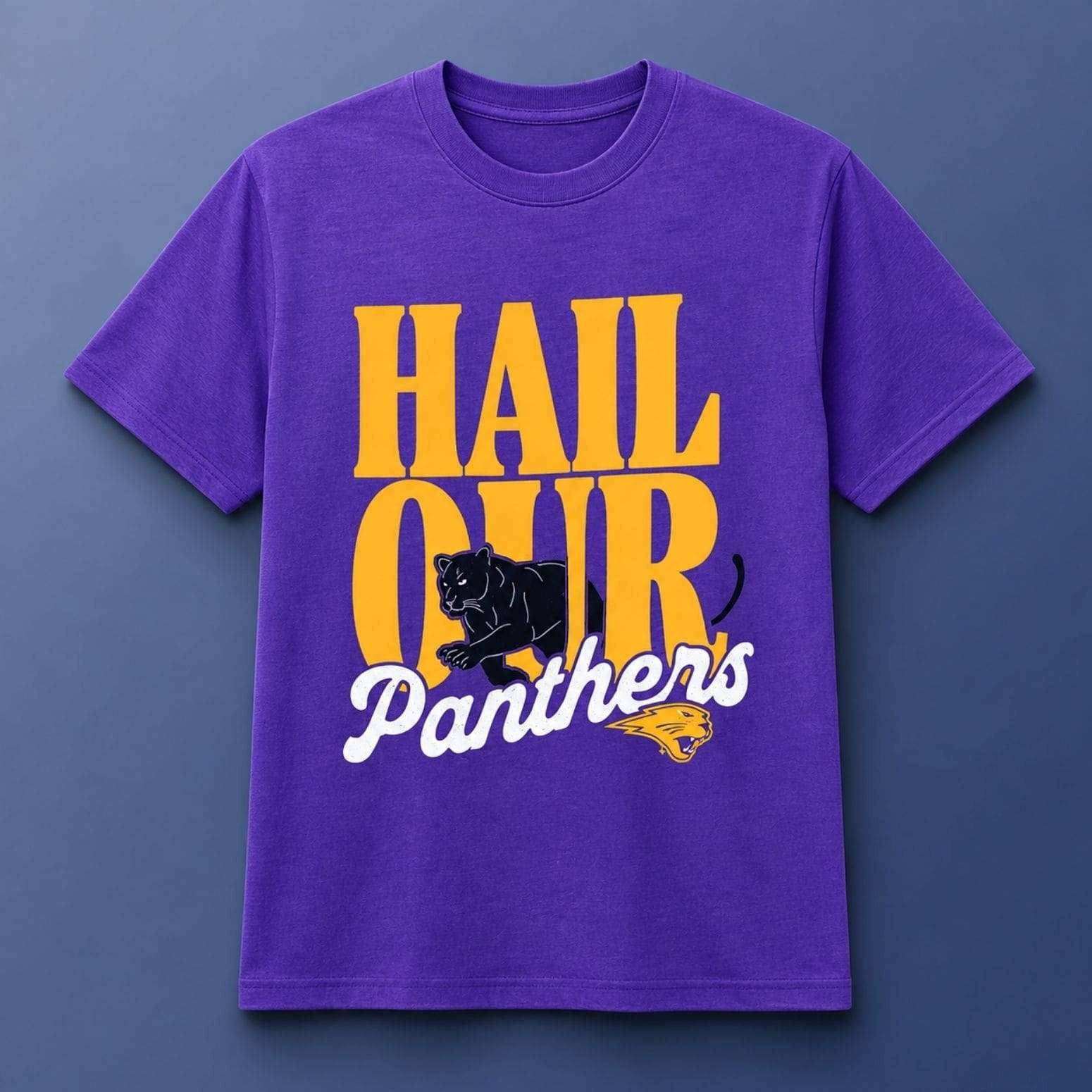 UNI Hail Our Panthers Shirt Carolina Panthers Merch Presents For Football Fans - Merchluma
