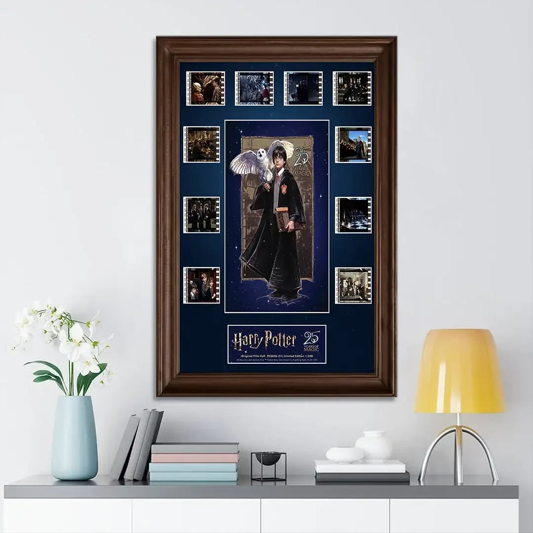 Harry Potter Merch 25th Anniversary Collectible Poster Home Decor Gifts For Movie Fans - Merchluma