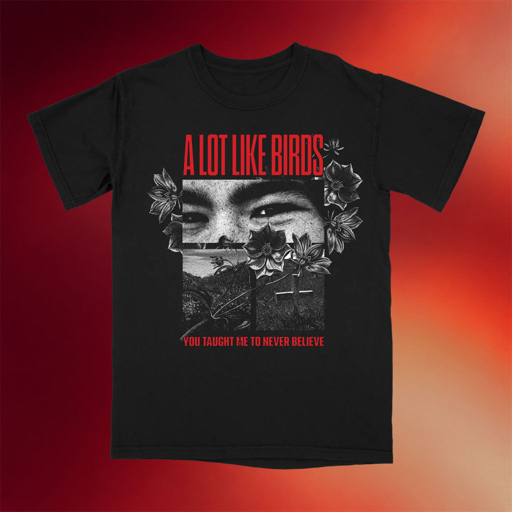 A Lot Like Birds Merch 2026 You Taught Me T-Shirt Music Lover Gifts For Him - Merchluma