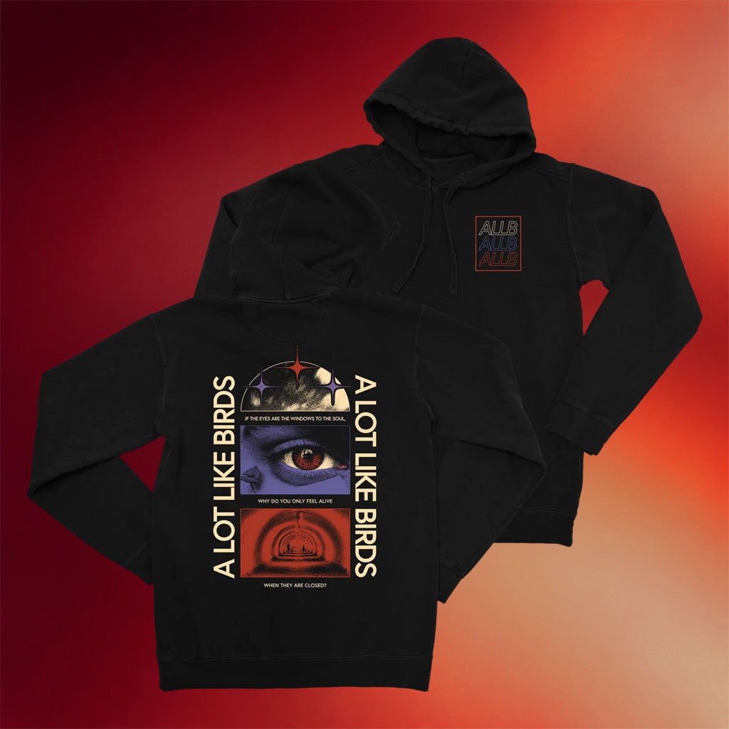 A Lot Like Birds Merch 2026 In Trances Hoodie Unique Gifts For Music Lovers - Merchluma