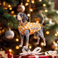 Smokey Bluetick Coonhound Tennessee Volunteers 150th Anniversary Ornament Christmas Decor - Merchluma