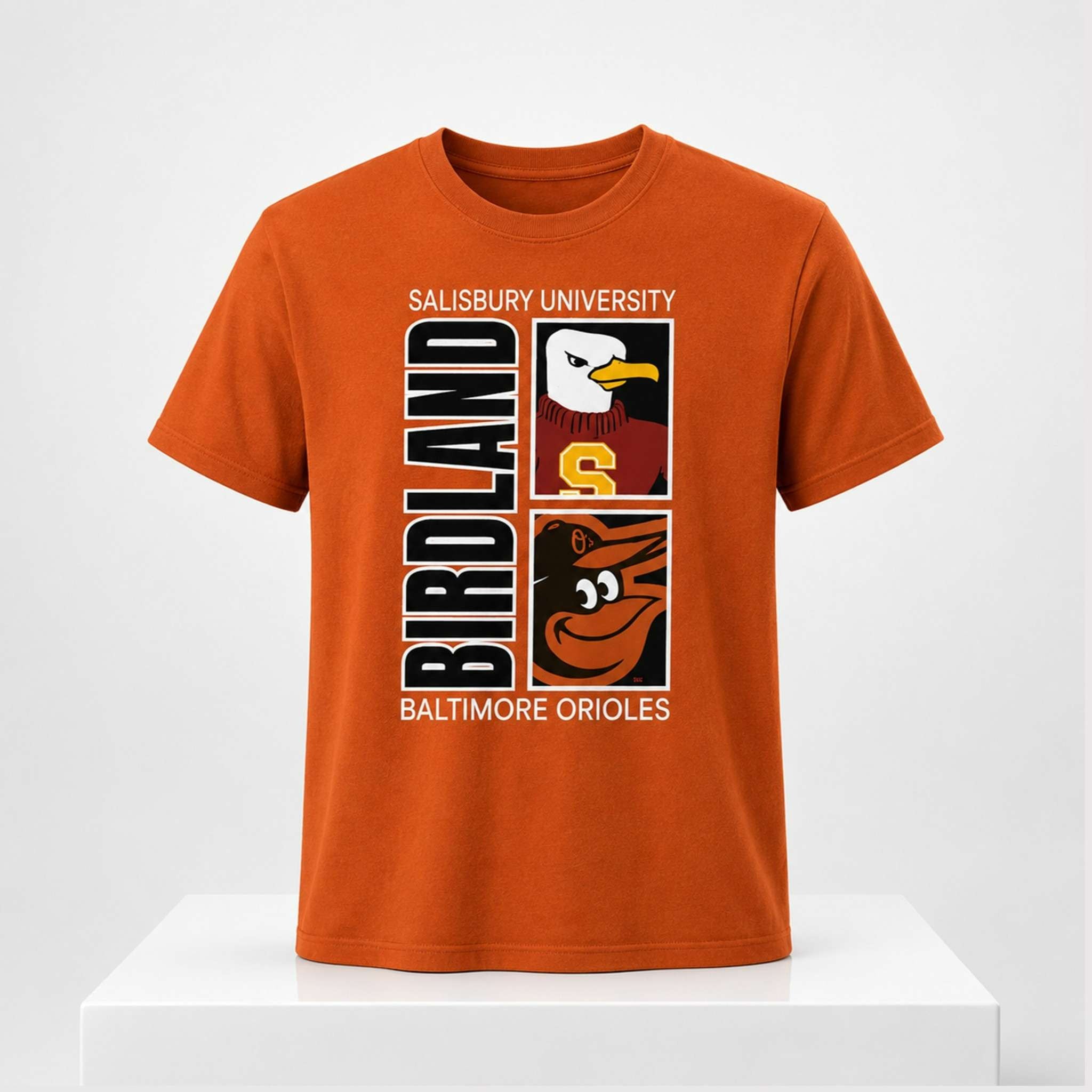 Orioles Salisbury University Night Shirt 2026 Baltimore Orioles Merch Gifts For Baseball Lovers