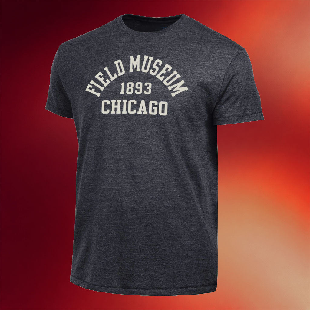 Field Museum Chicago Merch 2026 Field Museum Chicago Arch T-Shirt Best Gift For Brothers