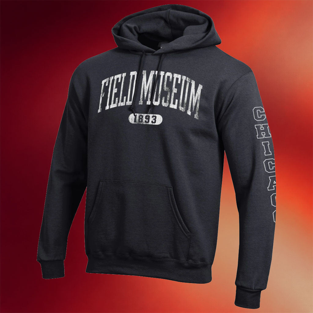 Field Museum Chicago Merch 2026 Field Chicago 1893 Hoodie Present For Brothers