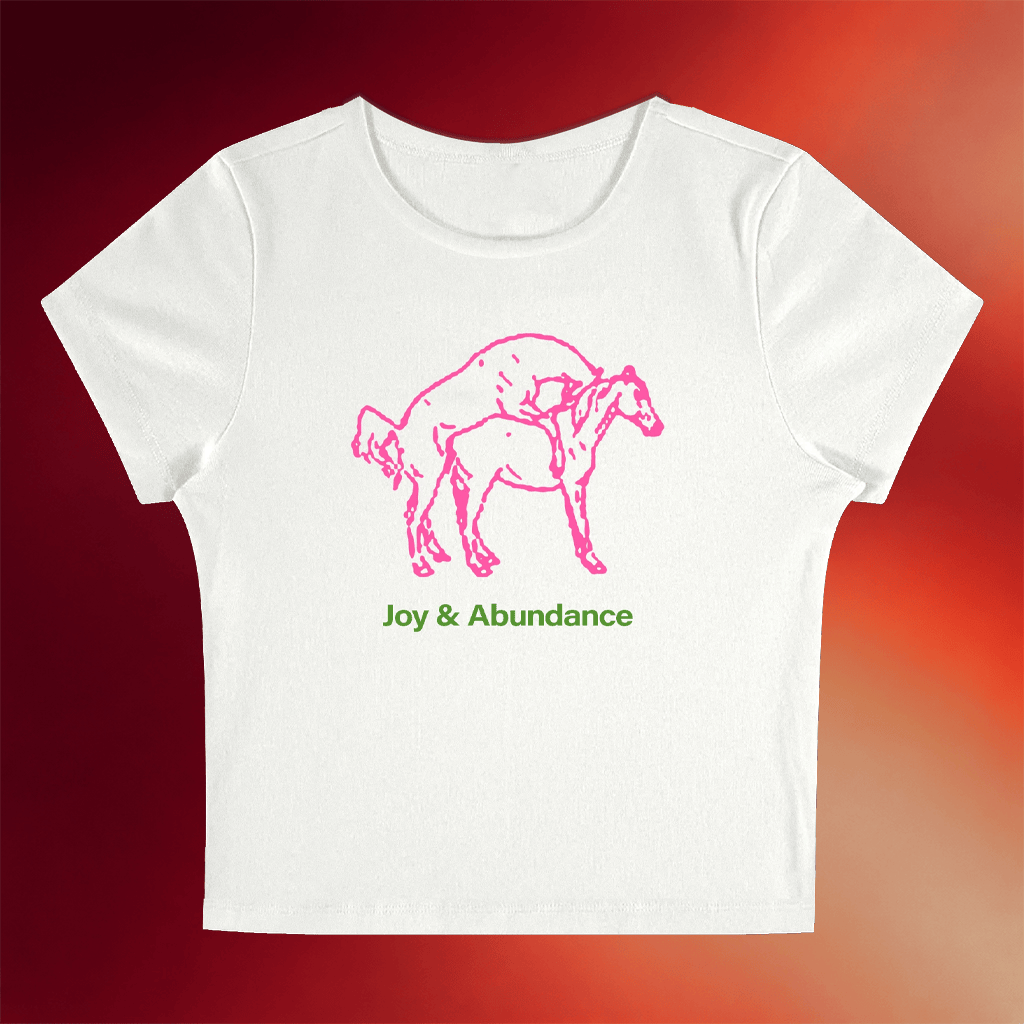 Vestigial 47 Merch Joy And Abundance Baby Tee Birthday Gift For Girlfriend - Merchluma