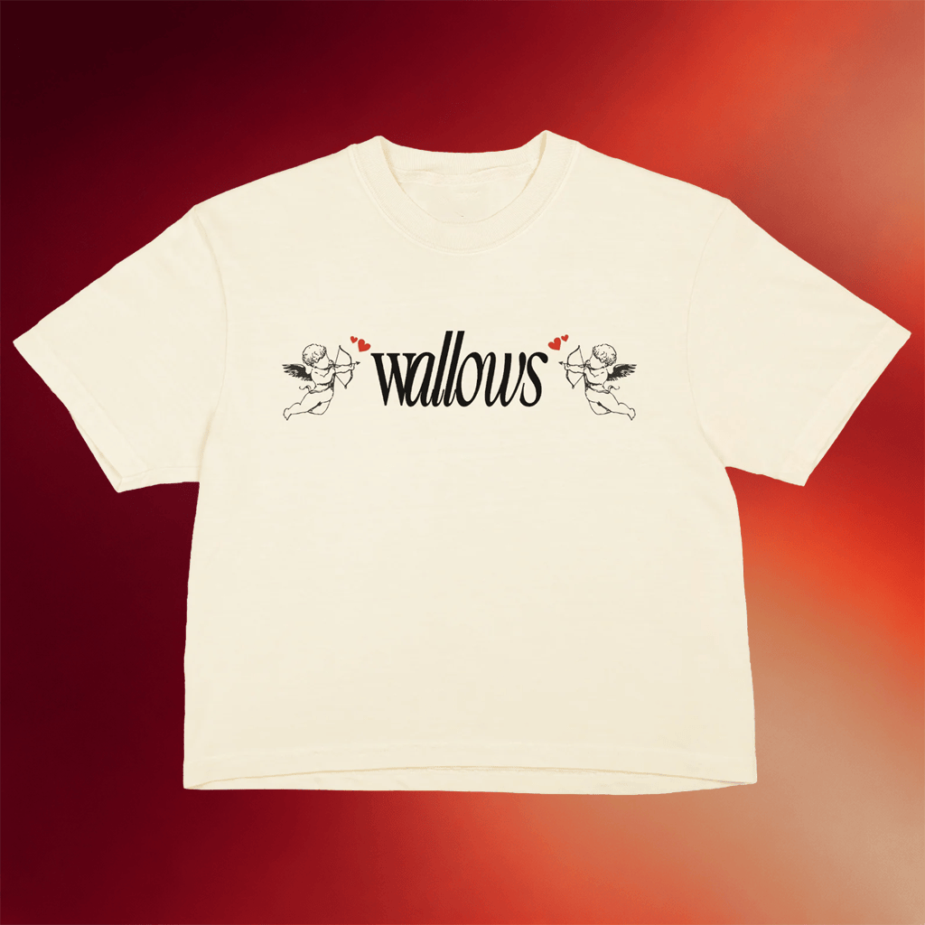 Wallows Merch Angel Baby Tee Wallows Shirt Gifts For Rock Band Fans - Merchluma