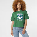 Disney X NFL Seattle Seahawks Merch Disney Champion Collab Seahawks Seagulls All-Star T-Shirt Gifts - Merchluma