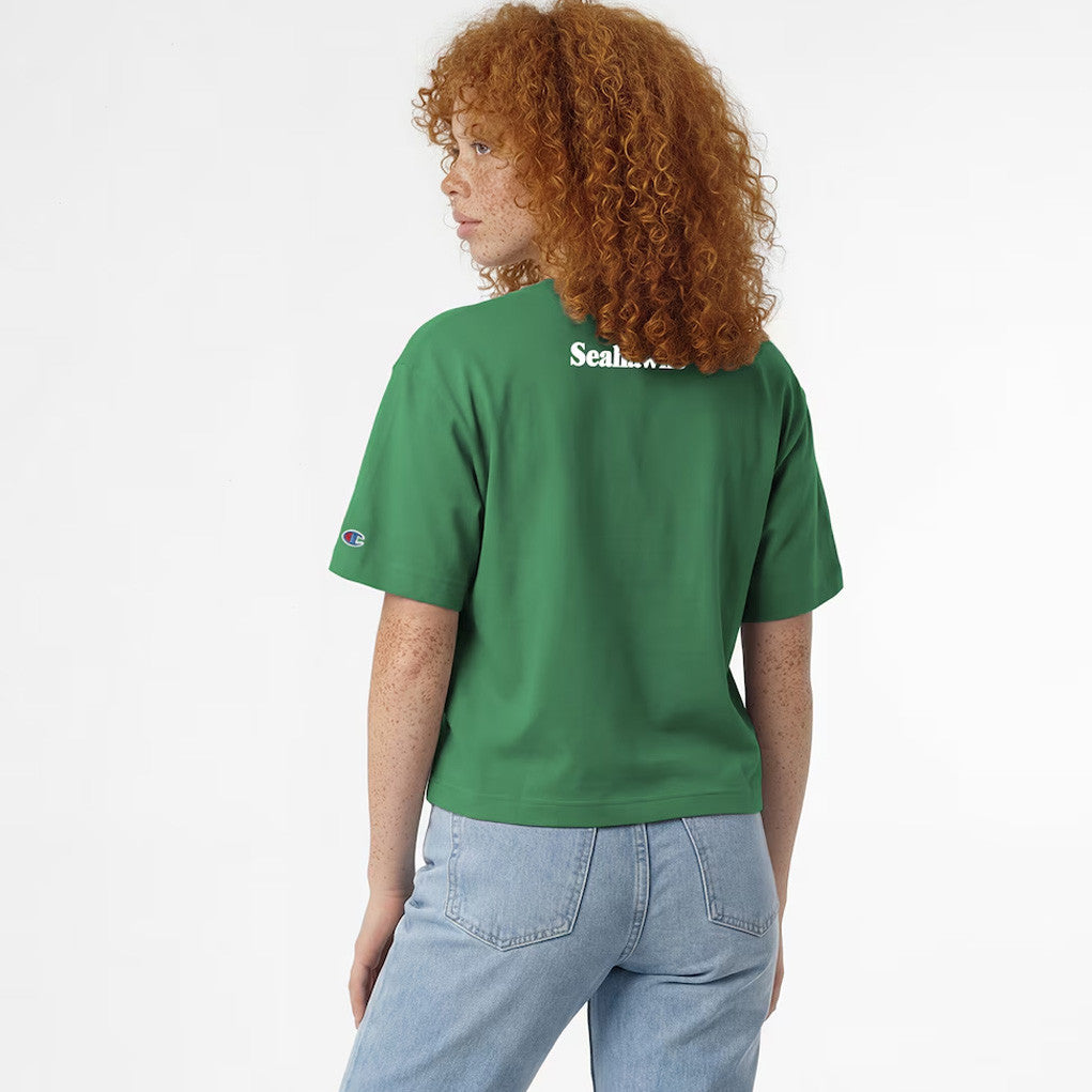 Disney X NFL Seattle Seahawks Merch Disney Champion Collab Seahawks Seagulls All-Star T-Shirt Gifts - Merchluma
