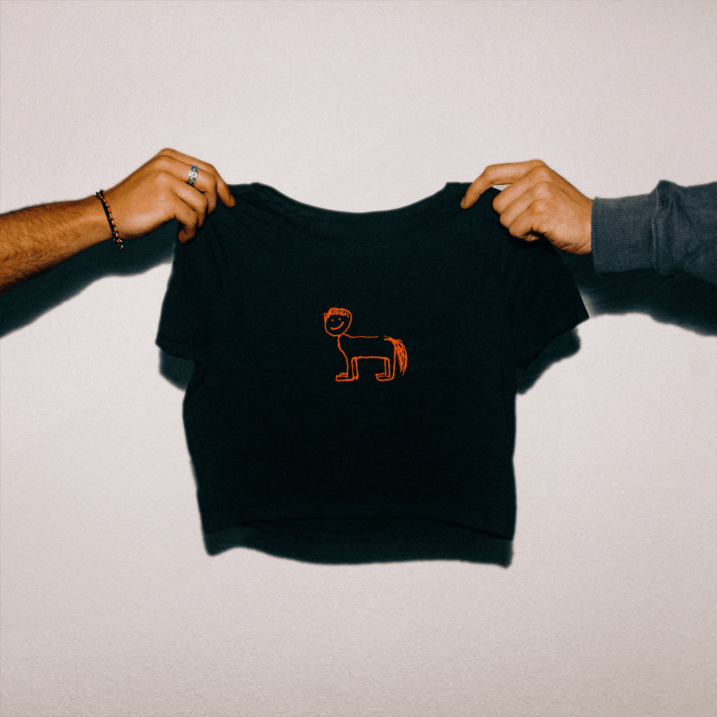 Del Water Gap Merch Horse with Bowl Cut Cropped T-Shirt For Ladies Gifts For Music Enthusiasts - Merchluma