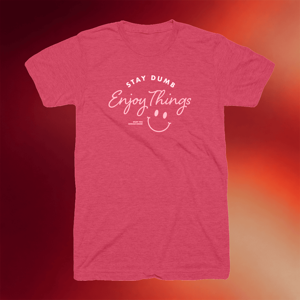 Stuff You Should Know Merch 2026 Stay Dumb Enjoy Things T-Shirt Present For Fathers - Merchluma